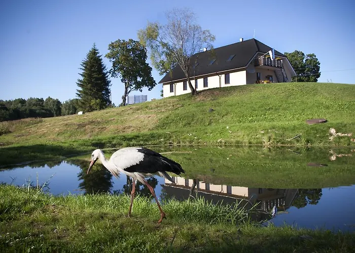 Guest house Poeoeni Misso